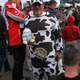Finally met a Sebring Cow, but not at Sebring. Photo credit: Alsø alsø me